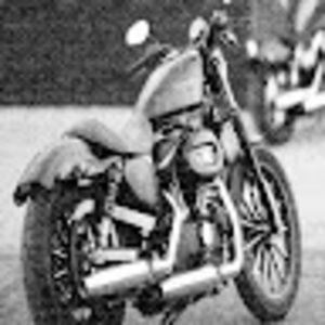 Meet your Posher, Dwight